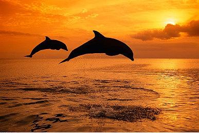 《流放之路》3.19扩展预计8月12日上线 具体内容待公布